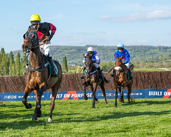 Race 3 - KTDA Hunters' Steeple Chase  (117 of 226)