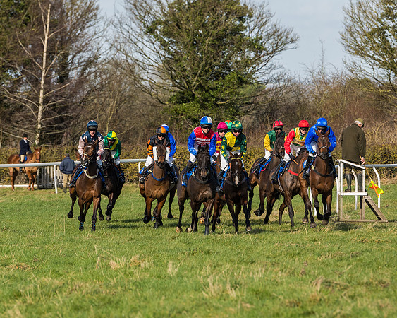 Race 1 - Open Maiden Division 1 (66 of 170)
