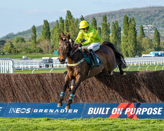 Race 3 - KTDA Hunters' Steeple Chase  (149 of 226)