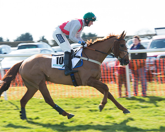 Race 2 - Open Maiden Div 2 (25 of 124).jpg