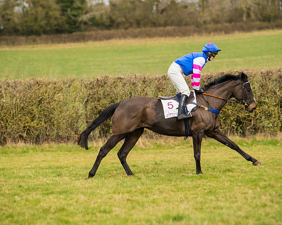 Race 2 - Open Maiden (5 of 128)