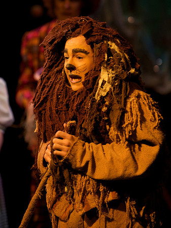 The Wizard of OZ -  158