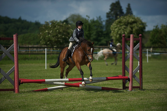 SOHS PC Summer Show at BCA 17th June 2012