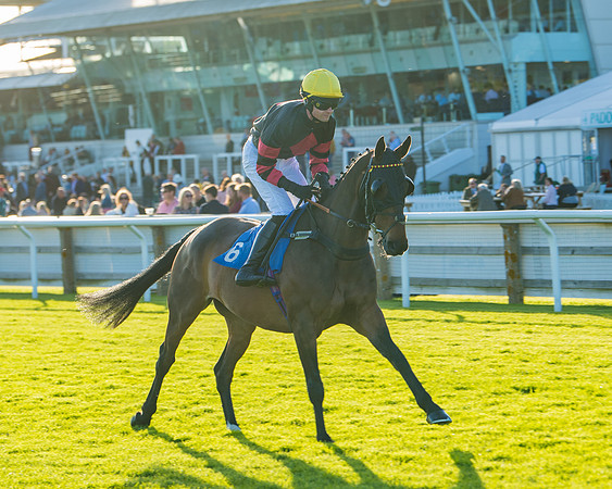 Race 5 - White Swan Hotel Handicap (8 of 80)