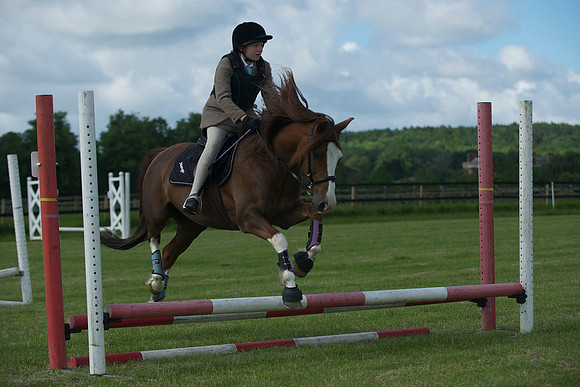 SOHS PC Summer Show at BCA 17th June 2012