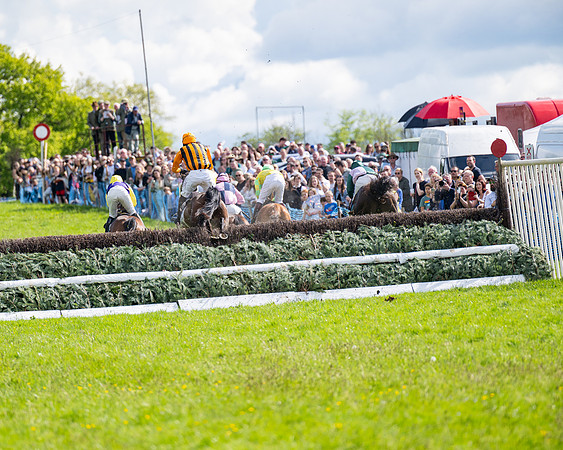Race 4 -  2M4F Conditions  (66 of 102)