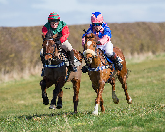 Oakley Ponies (50 of 96).jpg