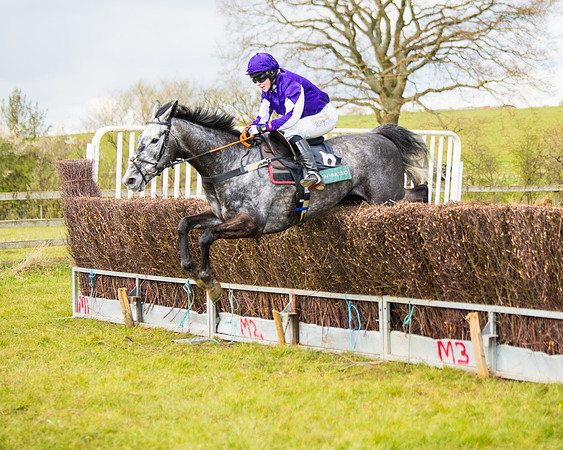 Race 5 - Restricted  (82 of 118)