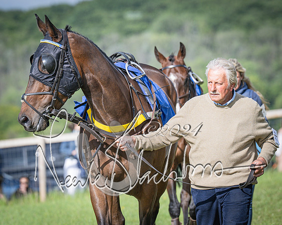 Race 6 - Thorn Plant Hire Maiden Race (10 of 129)