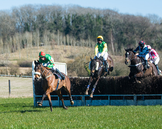 Race 2 - Warwick racecourse conditions  (10 of 122)