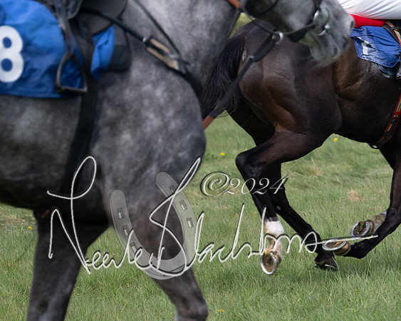 Race 2 - The Elliott of London maiden race (122 of 137)