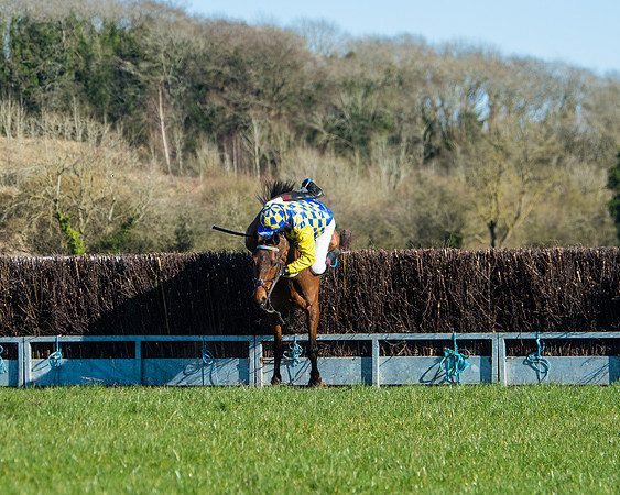 Race 5 - Novice riders (53 of 201)