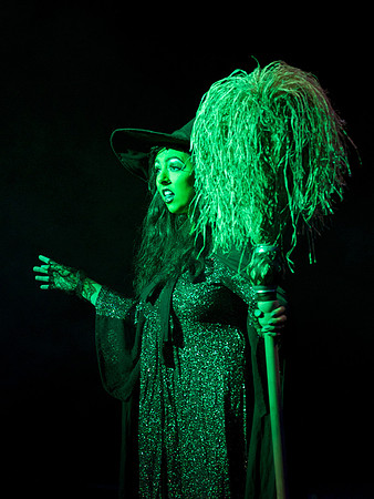 The Wizard of OZ -  291