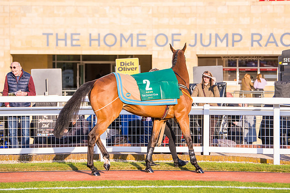 Race 5 - ITM Mares'  (11 of 181)
