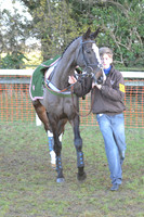 Young Horse Maiden  15