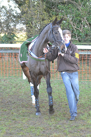 Young Horse Maiden  15