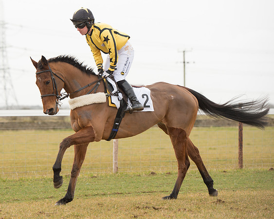 Race 4 - Ladies Open (23 of 85).jpg