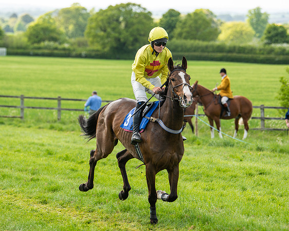 Race 6 - Maiden [2m4f] (24 of 135)