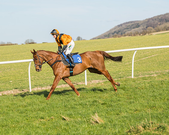 Race 3 - Ladies Open (24 of 156)