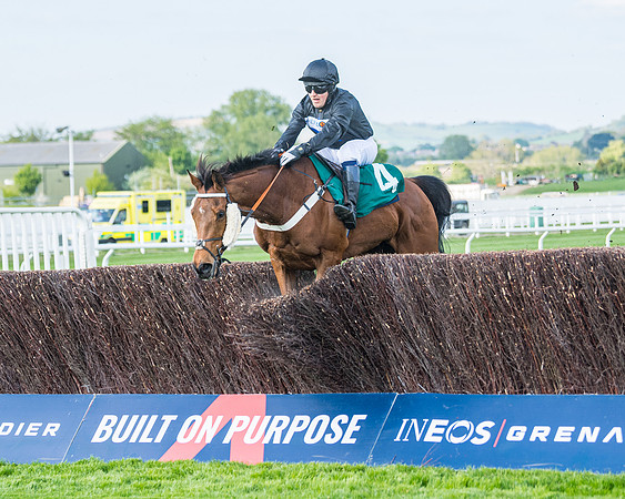 Race 1 - The open Hunter chase  (66 of 95)