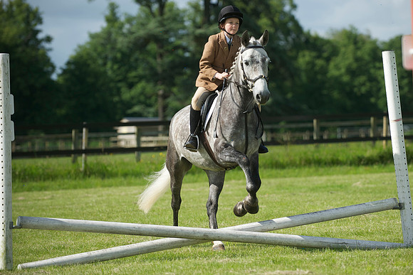 SOHS PC Summer Show at BCA 17th June 2012