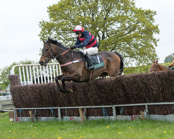 Race 2 - Jockey Club ROR veteran Horse (49 of 104)