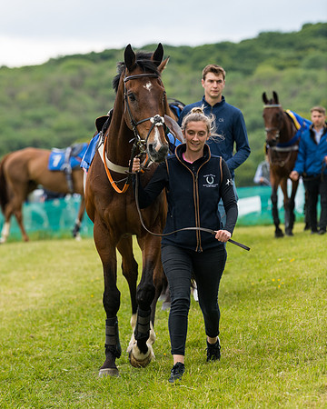 Race 2 - PPORA Novice Riders  (26 of 187)