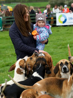 Pytchley - Hounds and friends 15
