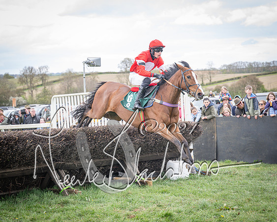 Race 2 - Tattersalls Cheltenham 4 year old Maiden (51 of 85)