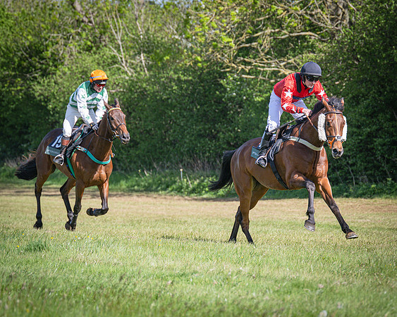 Race 5 - F N Pile and Sons PPORA Novice Riders (52 of 151)