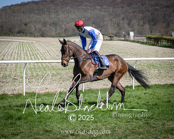 Race 2 - The Maiden (42 of 118)