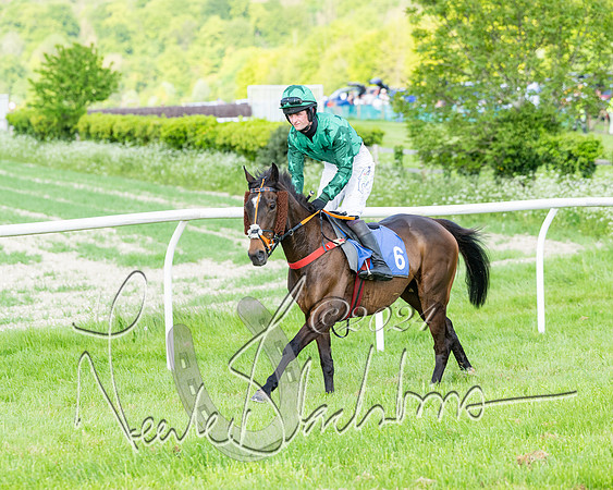 Race 6 - Intermediate (55 of 212)