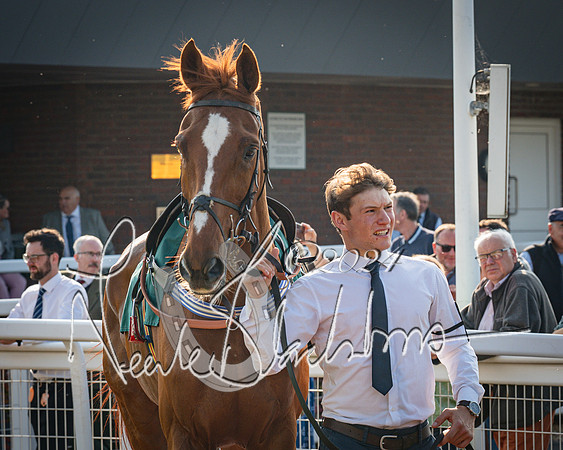Race 3 - The Junior Jumpers open hunter's steeple chase 3m1f56y (6 of 156)