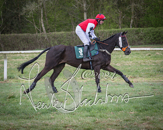 Race 7 - The Jockey Club maiden race for Mares and Fillies only (28 of 96)