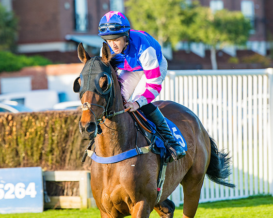Race 5 - White Swan Hotel Handicap (18 of 80)