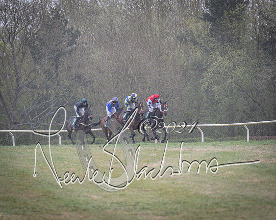 Race 7 - The Jockey Club maiden race for Mares and Fillies only (35 of 96)