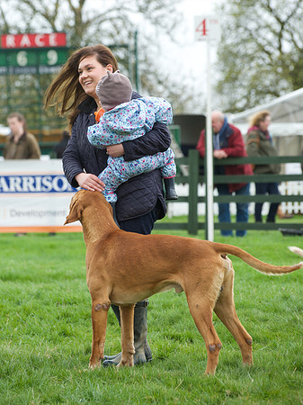 Pytchley - Hounds and friends 12