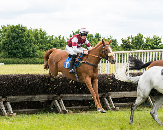 Race 1 - Owner Trainer Conditions  (61 of 133)