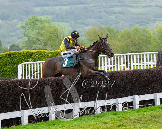 Race 5 - Mares Open  (60 of 129)