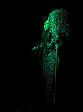 The Wizard of OZ -  294