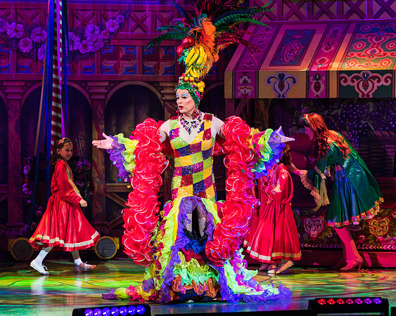 Swan Panto 2017