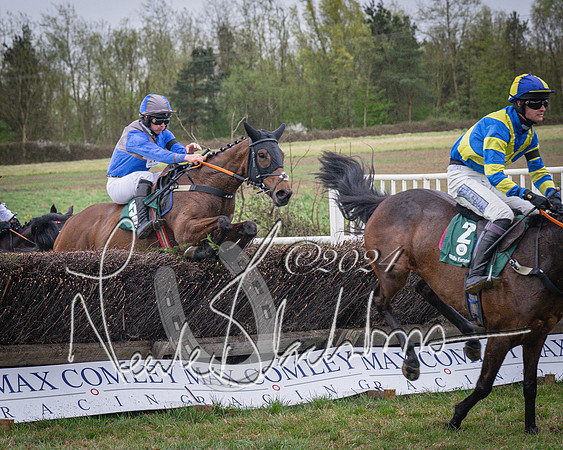 Race 7 - The Jockey Club maiden race for Mares and Fillies only (75 of 96)