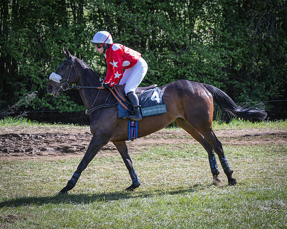 Race 5 - F N Pile and Sons PPORA Novice Riders (17 of 151)