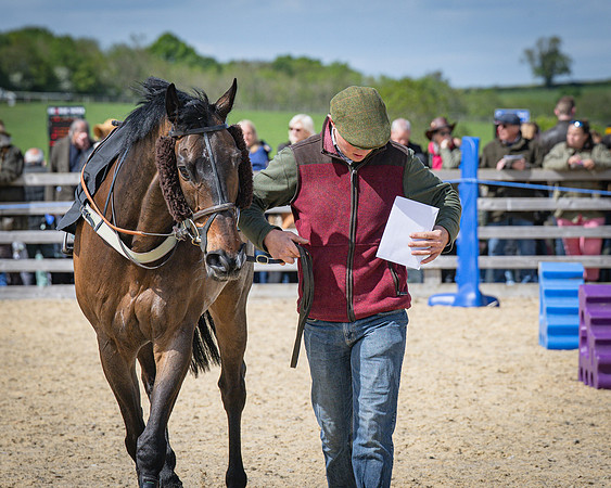 Race 2 - Winkworth conditions race 2m 4f (13 of 126)