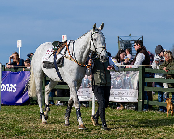 Race 5 - PPORA Five years and over (24 of 163)