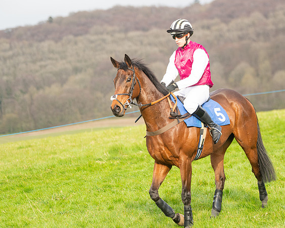 Race 6 - The Restricted Race (82 of 200)
