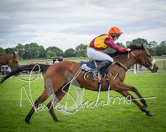 Race 1 - Pointing Pointers Restricted Final (57 of 79)
