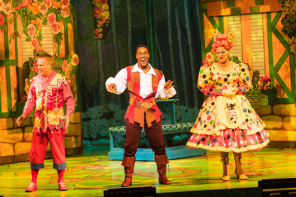 Swan Panto 2017