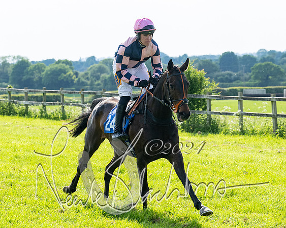 Race 5  - Maiden race 2m5F Div-2 (65 of 205)