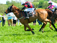 Race 2 - Intermediate